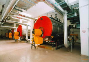 4t6t燃氣熱水鍋爐 小型集中供暖鍋爐,4t6t燃氣熱水鍋爐 小型集中供暖鍋爐生產廠家,4t6t燃氣熱水鍋爐 小型集中供暖鍋爐價格