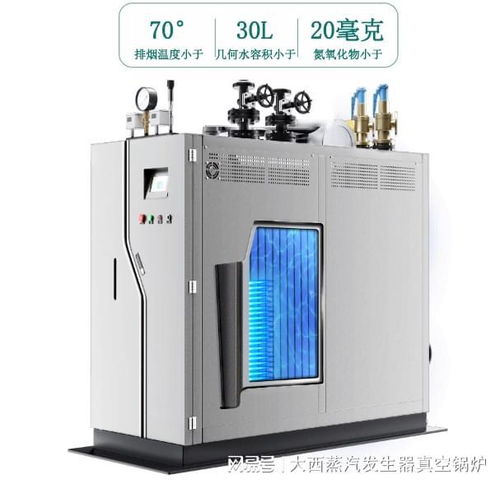 低氮環(huán)保燃氣蒸汽發(fā)生器